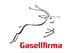 Gasellfirma 2017 Vilant Ehitus OÜ