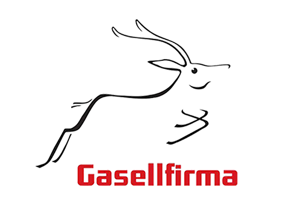 Gasellfirma 2017 Vilant Ehitus OÜ